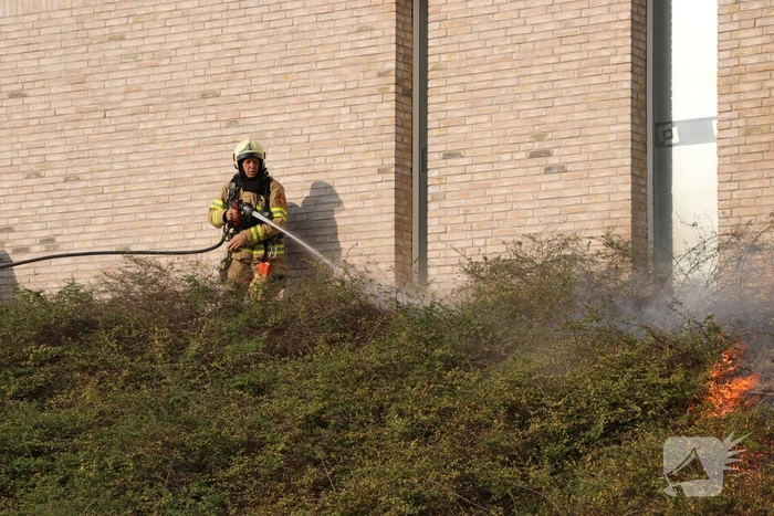 Groenstrook tegen sporthal in brand gestoken
