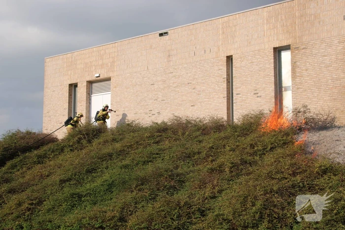 Groenstrook tegen sporthal in brand gestoken