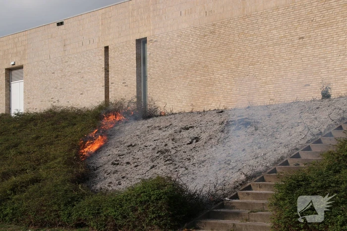 Groenstrook tegen sporthal in brand gestoken