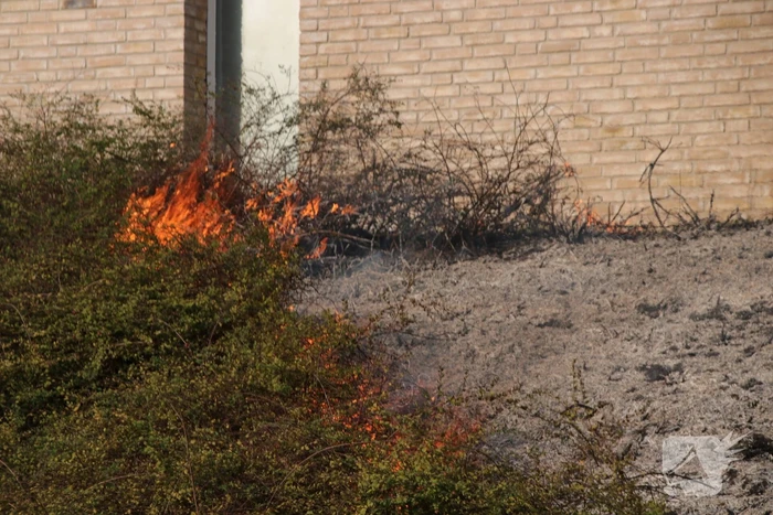 Groenstrook tegen sporthal in brand gestoken