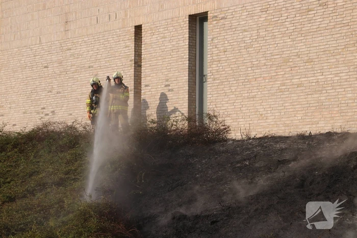 Groenstrook tegen sporthal in brand gestoken