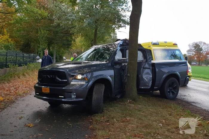 Bestuurder belandt tegen boom