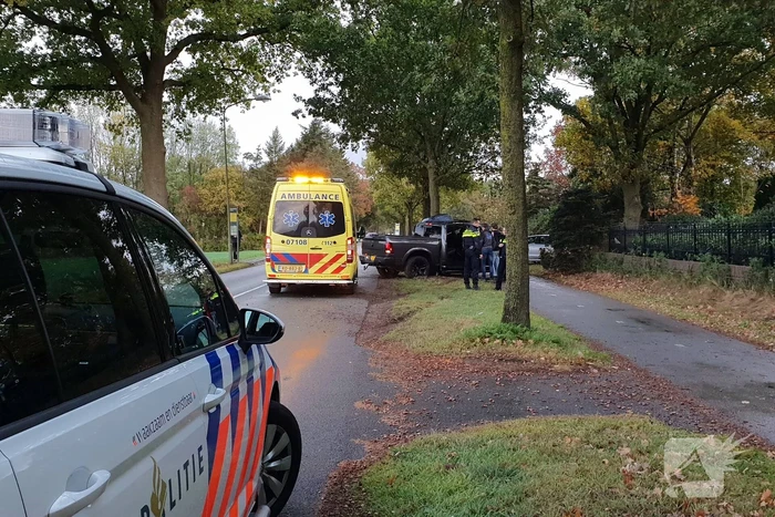 Bestuurder belandt tegen boom
