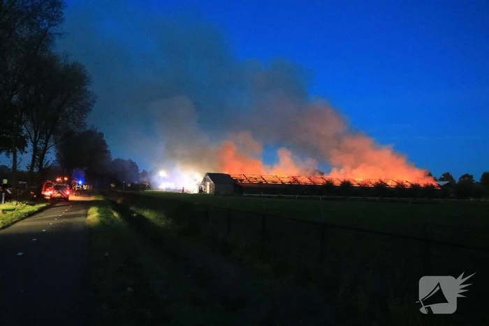 Kippenschuur verwoest door brand