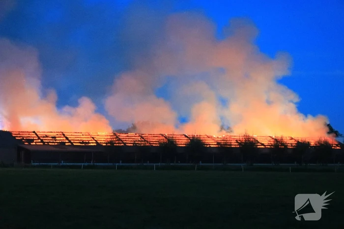 Kippenschuur verwoest door brand