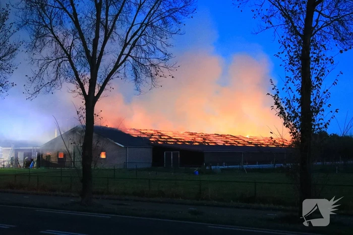 Kippenschuur verwoest door brand