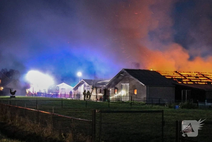Kippenschuur verwoest door brand