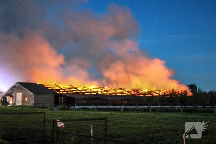 Kippenschuur verwoest door brand