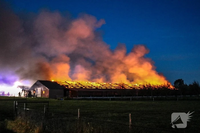 Kippenschuur verwoest door brand