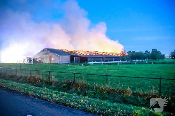 Kippenschuur verwoest door brand