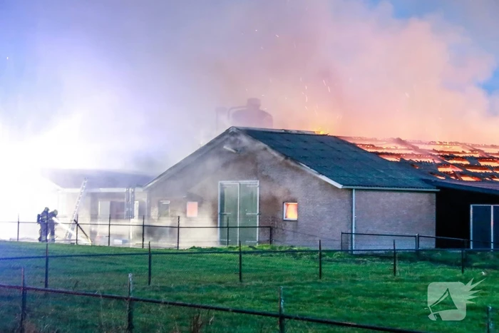 Kippenschuur verwoest door brand