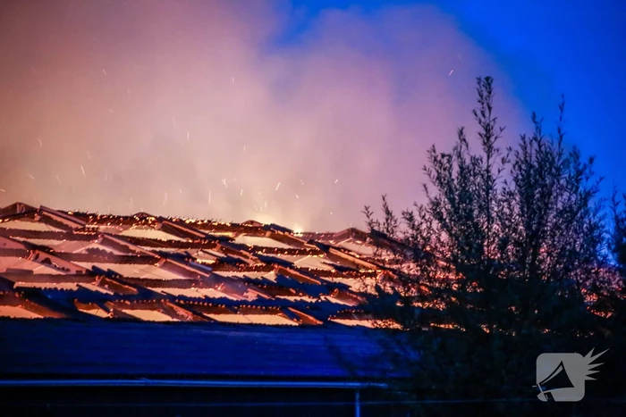 Kippenschuur verwoest door brand