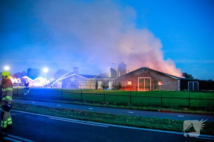Kippenschuur verwoest door brand
