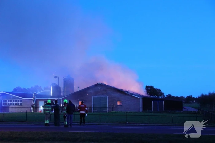 Kippenschuur verwoest door brand