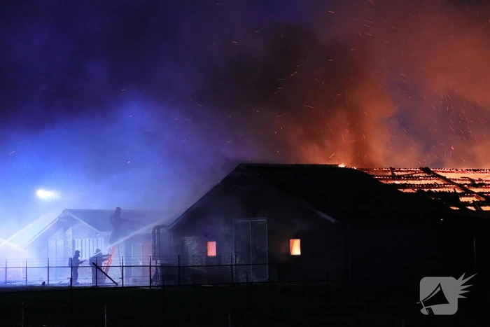 Kippenschuur verwoest door brand