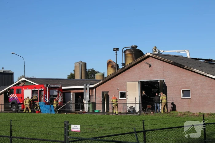 Kippenschuur verwoest door brand