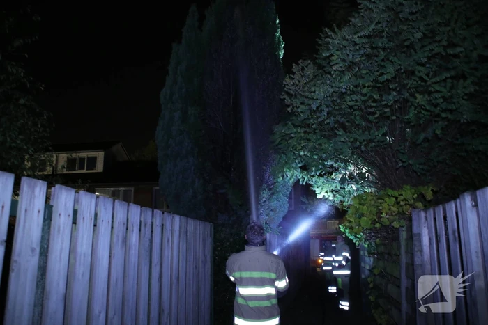 Conifeer in brand gestoken