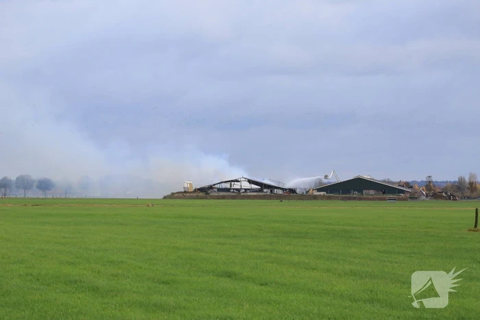 Groot onderzoek naar zoveelste brand veehouder