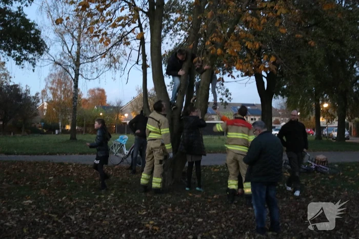 Knulletje vast in boom