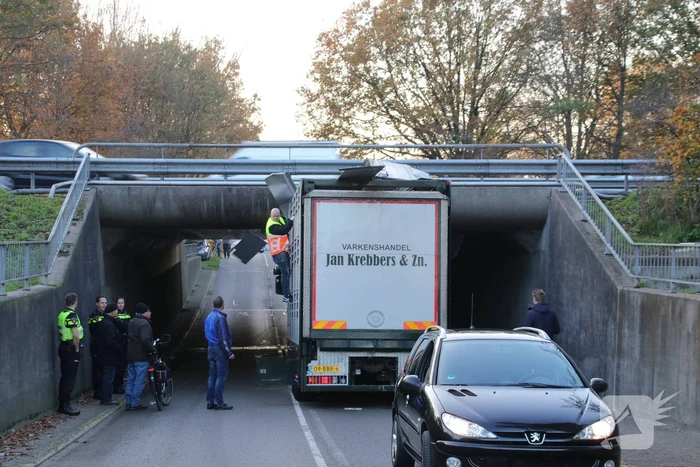 Vrachtwagen vol jonge varkens vastgereden onder viaduct