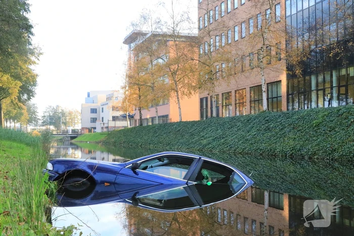 Auto raakt van de weg, ramt boom en belandt in sloot