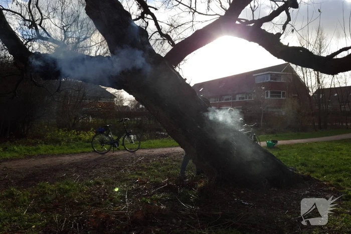 Klimboom in brand gestoken