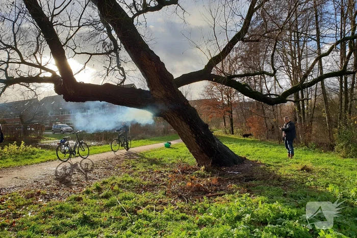 Klimboom in brand gestoken