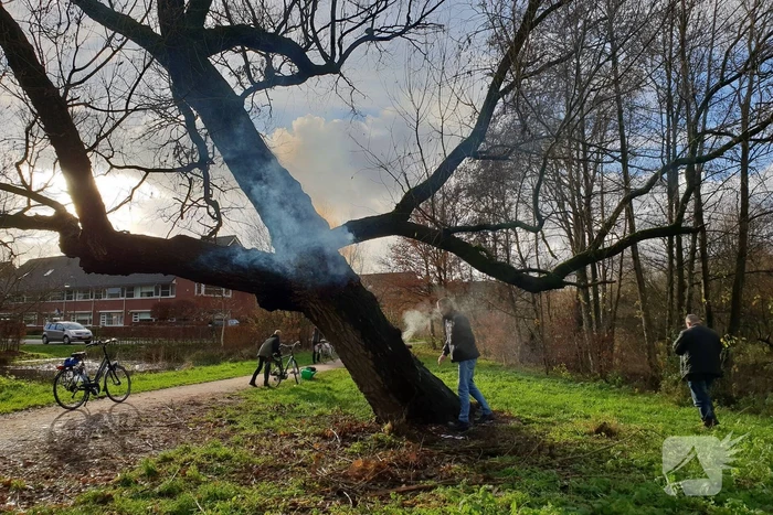 Klimboom in brand gestoken