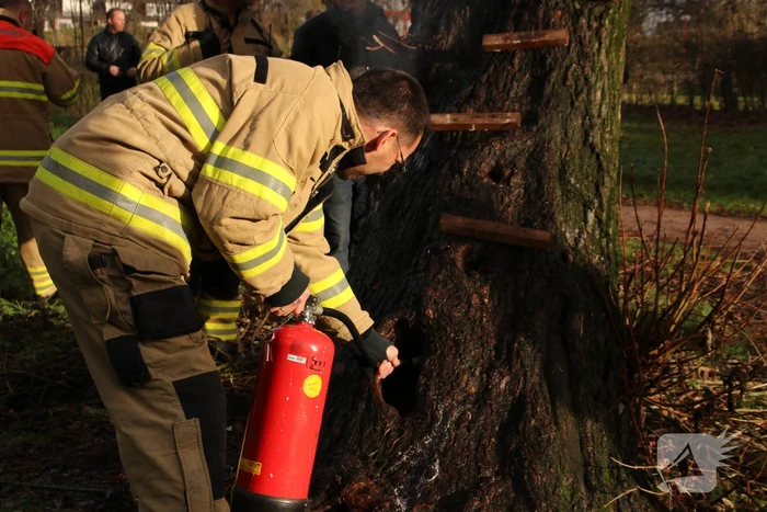 Klimboom in brand gestoken