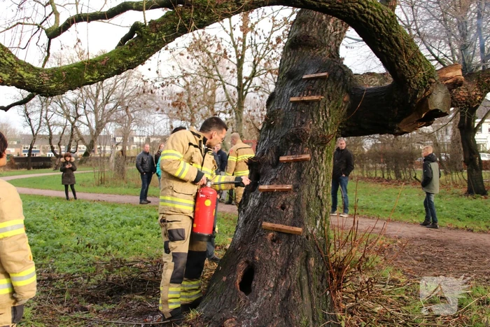 Klimboom in brand gestoken