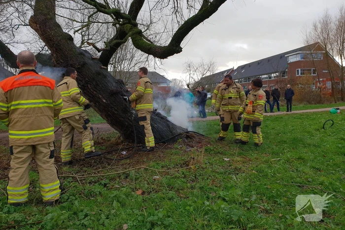 Klimboom in brand gestoken