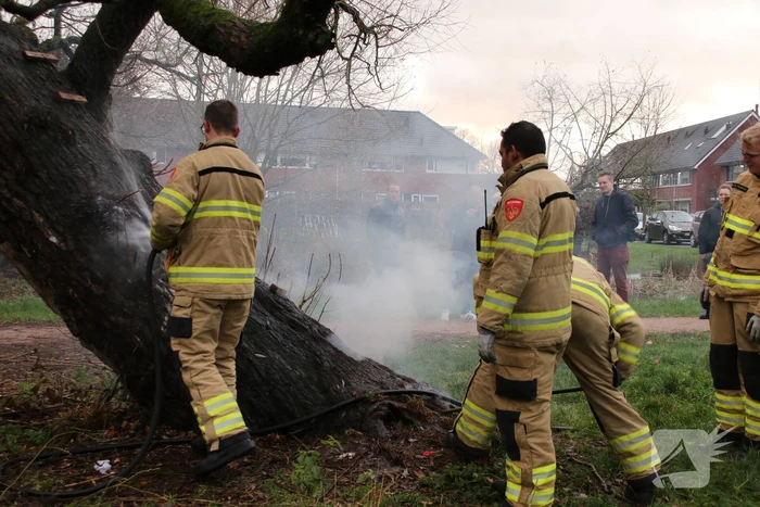 Klimboom in brand gestoken