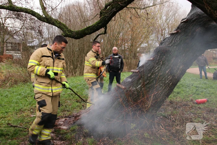 Klimboom in brand gestoken