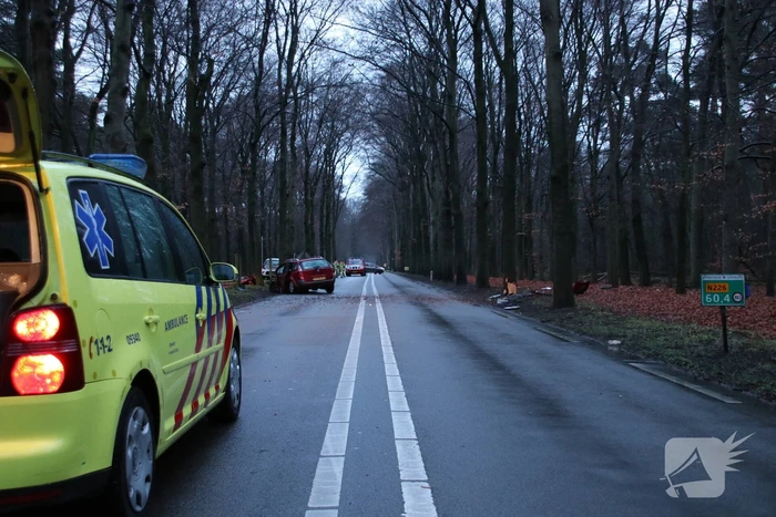 Auto raakt van de weg en botst frontaal op boom