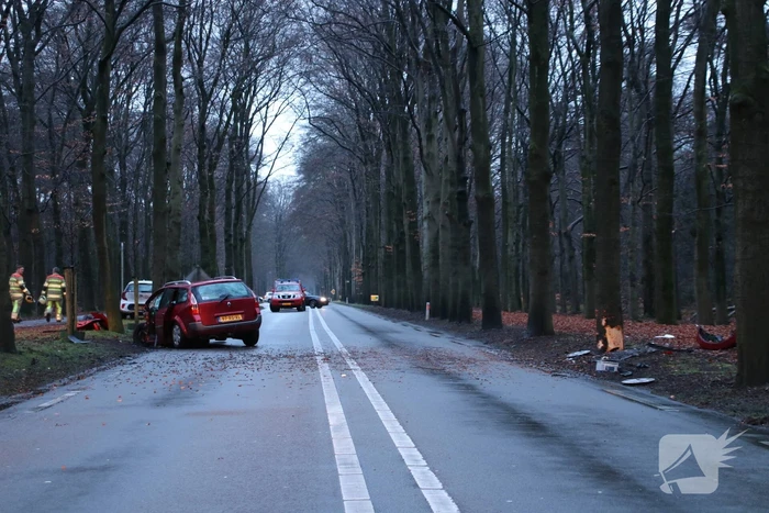 Auto raakt van de weg en botst frontaal op boom