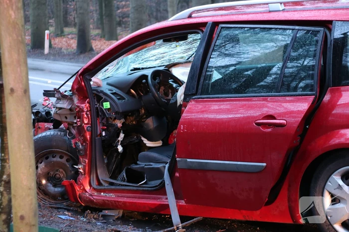 Auto raakt van de weg en botst frontaal op boom
