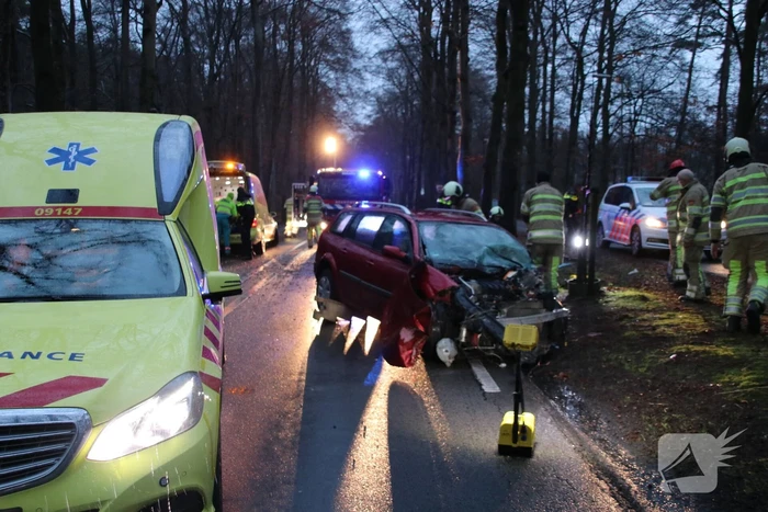 Auto raakt van de weg en botst frontaal op boom