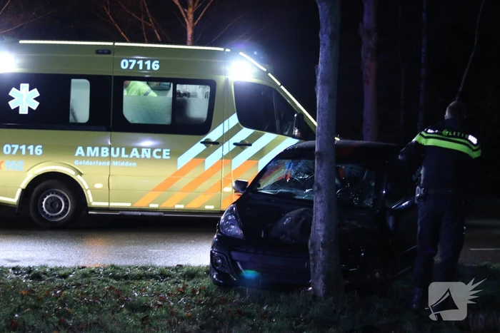 Brommobieler gewond na botsing op boom