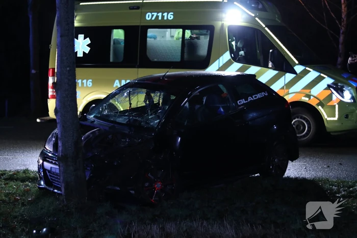 Brommobieler gewond na botsing op boom