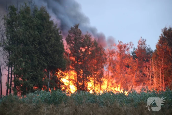 Vuurwerk zet berg afval in brand