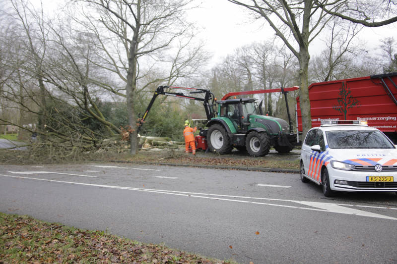 Weg en fietspad verspert door omgewaaide boom