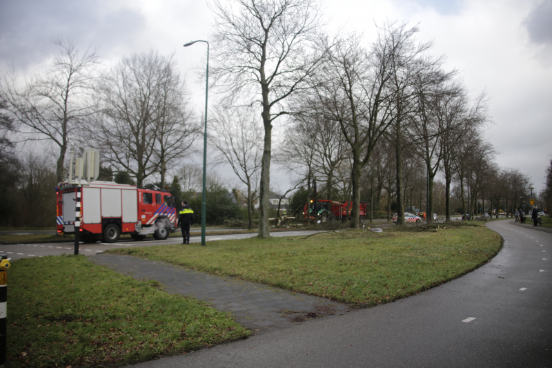 Weg en fietspad verspert door omgewaaide boom