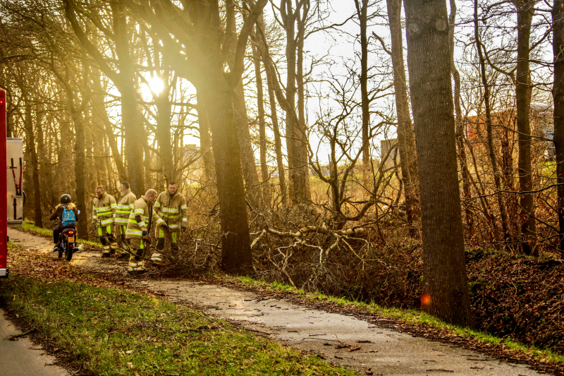 Fietspad verspert door omgewaaide boom