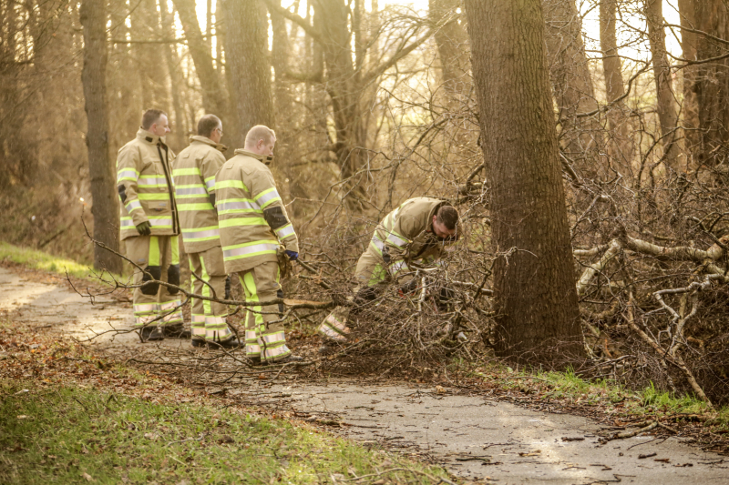 Fietspad verspert door omgewaaide boom