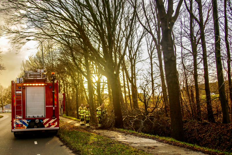 Fietspad verspert door omgewaaide boom