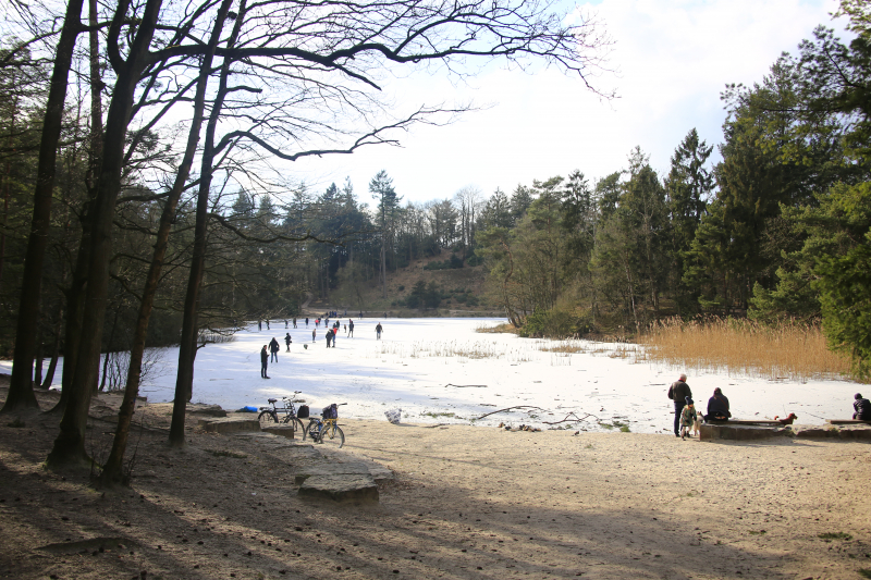Volop schaatsplezier op Bosvijver