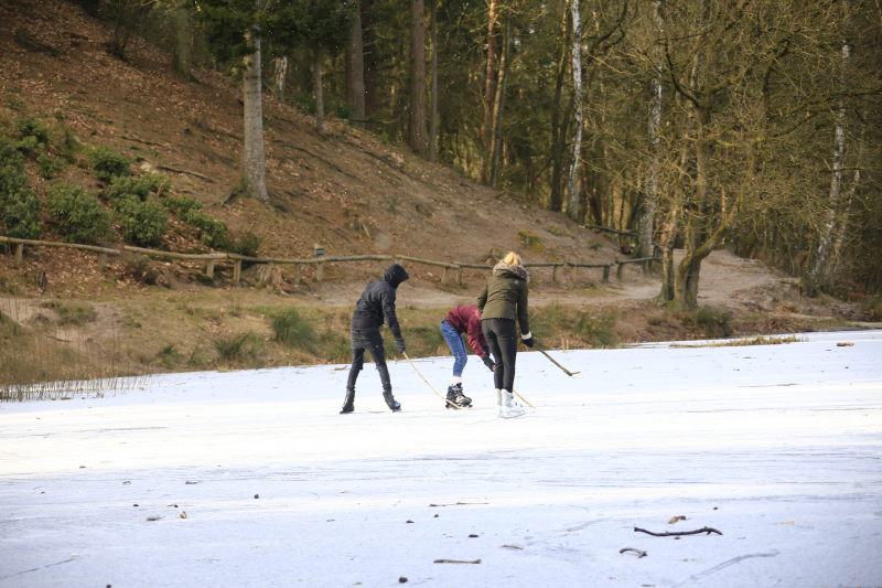 Volop schaatsplezier op Bosvijver