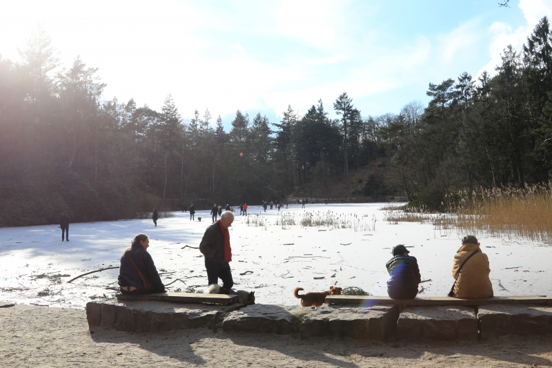 Volop schaatsplezier op Bosvijver