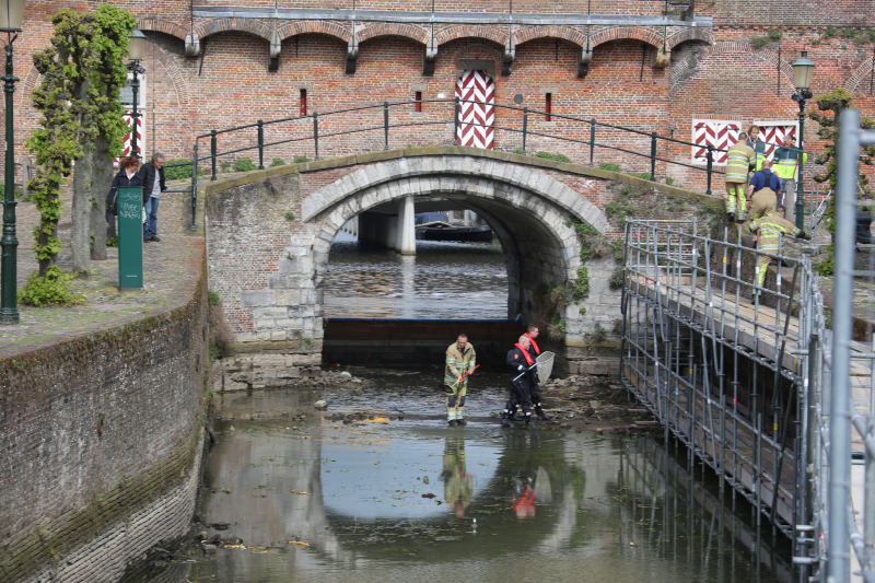 Brandweer redt vastzittende eendjes