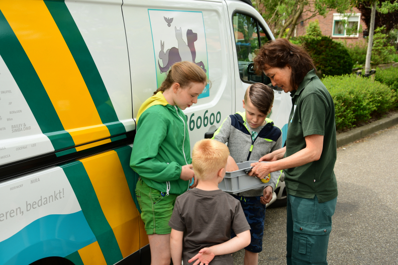 Bram (10) en Jamie (10) redden jonge meerkoetjes uit sloot
